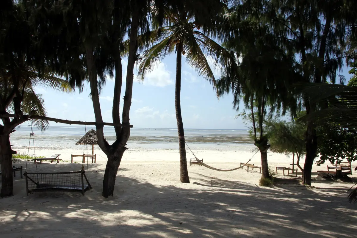 Palms and a hammock over a white beach with the sea behind