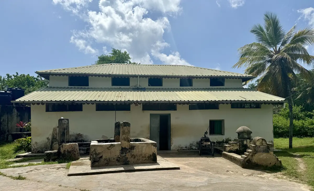 Historic Kizimkazi mosque with a green roof in palm-lined southern Zanzibar