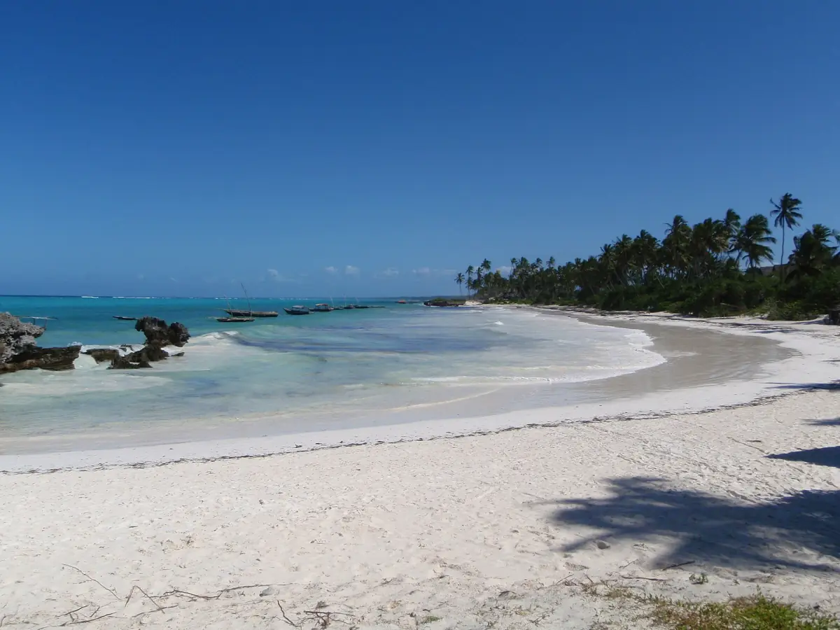 Plage de sable blanc incurvée bordée de palmiers à Matemwe, sur la côte nord-est d'Unguja