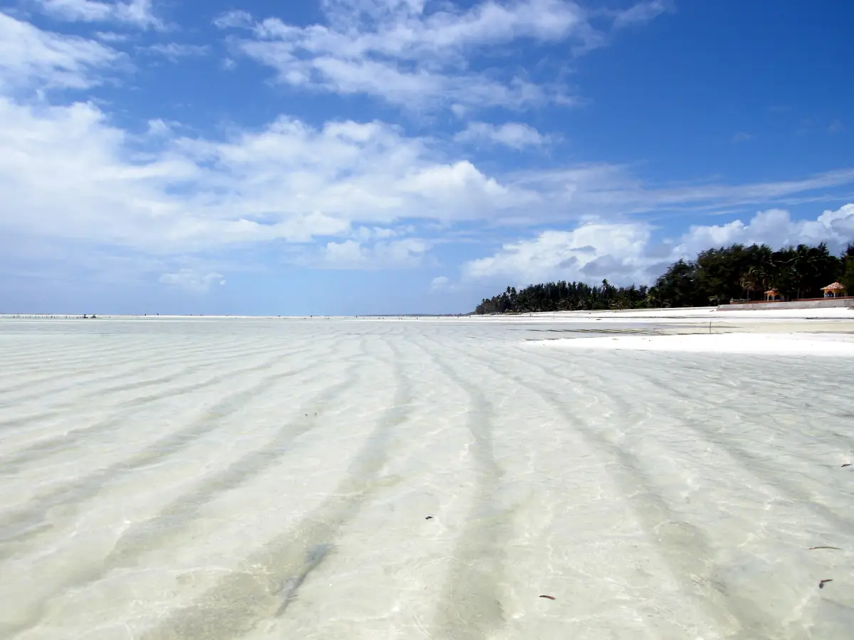 Rippled sand flats at low tide on Paje beach on the southeast coast