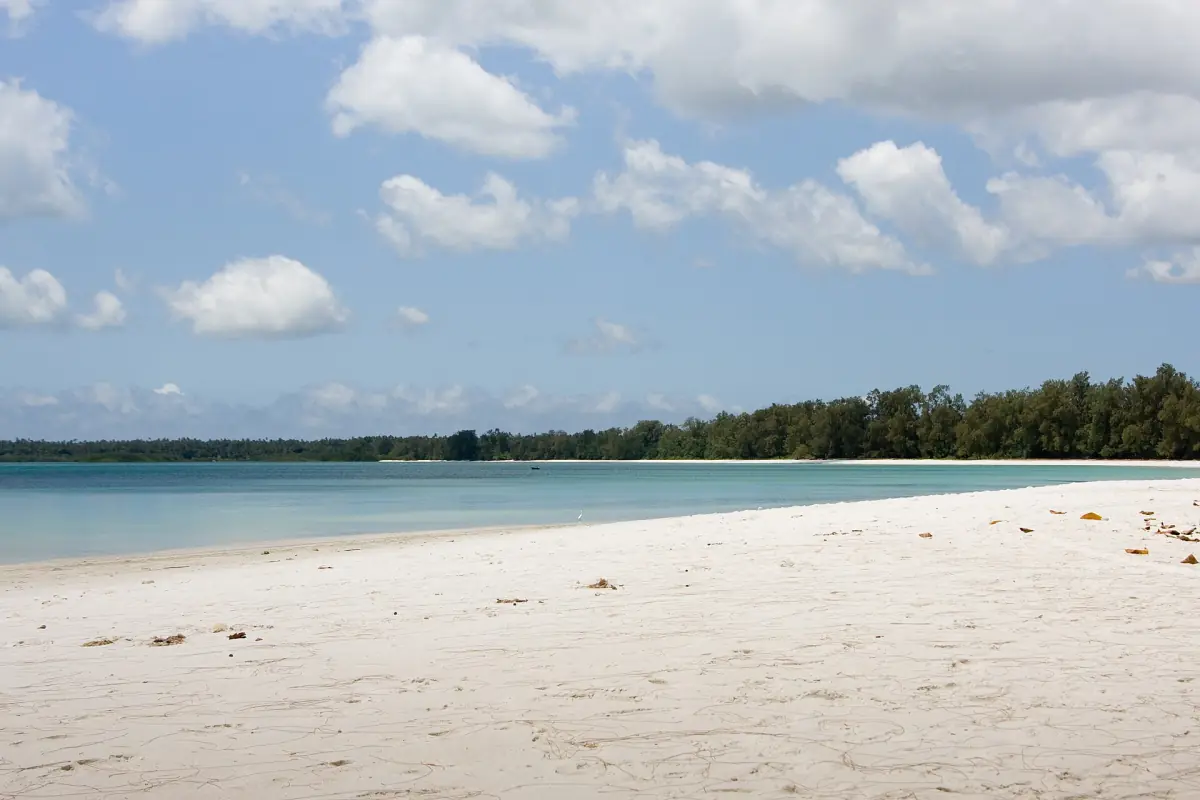 Long white beach and forest edge at Vumawimbi on Pemba Island