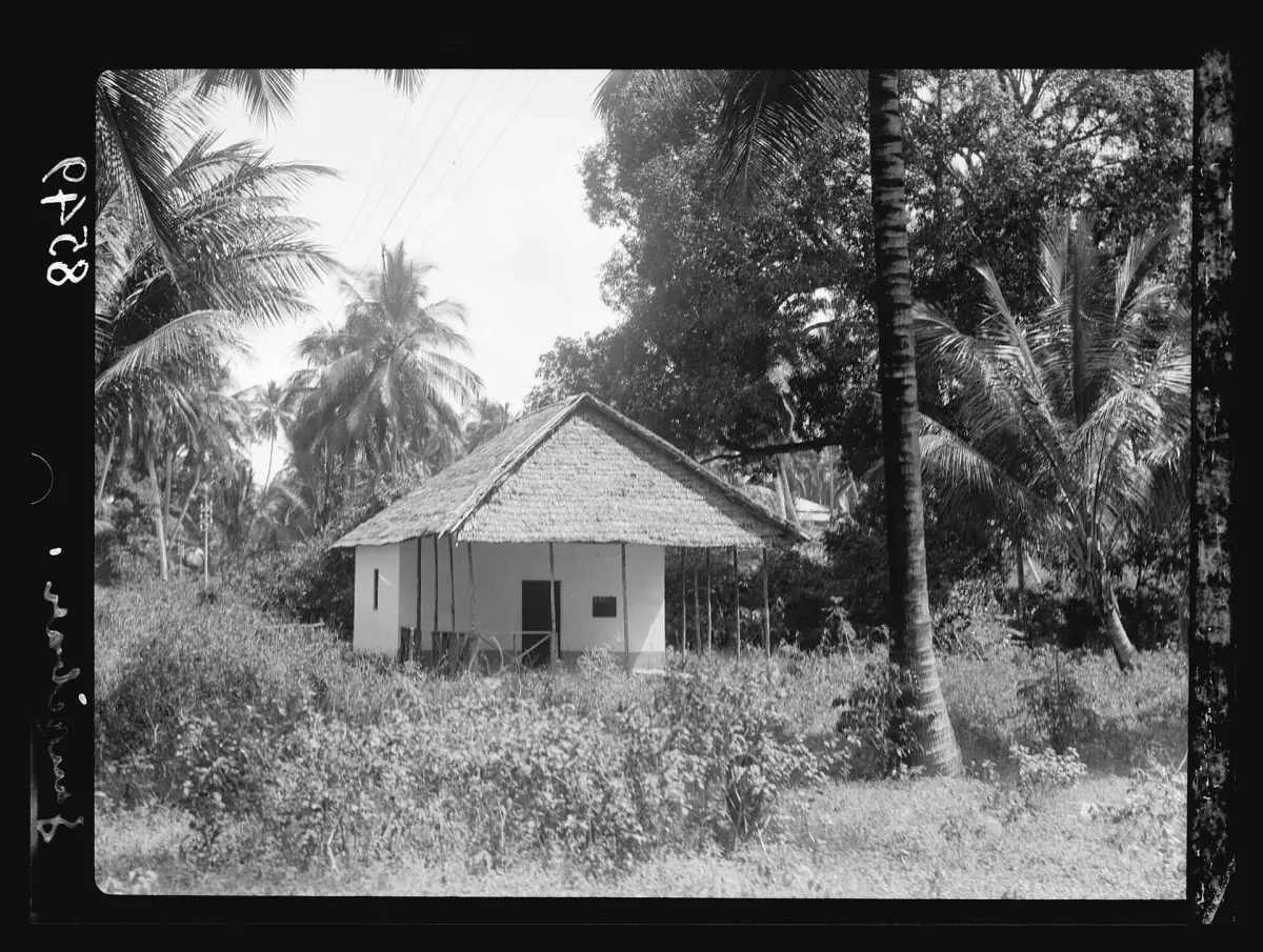 Historic photograph of a house among clove trees and palms in 1936