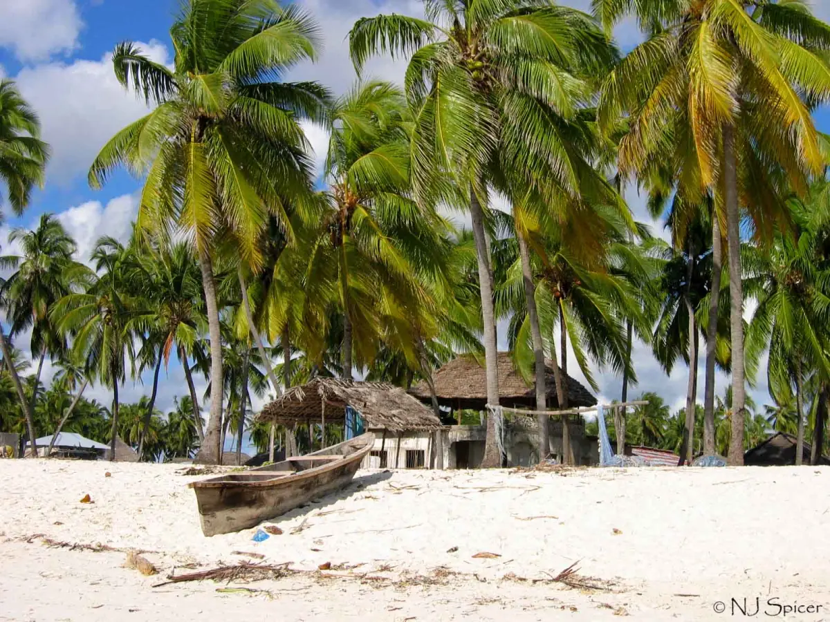 Coconut palms, a canoe and a thatched hut on white sand
